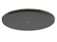 Елегантна душ пита Raindance Alive S 300 1jet Brushed Bronze