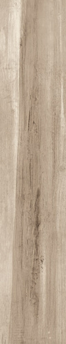 Nautilus Beige 15.3 / 58.9см